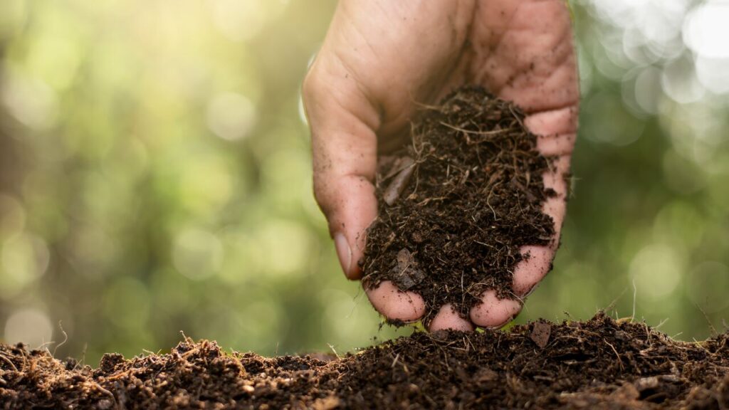 What Is the Process of Composting Food Waste?