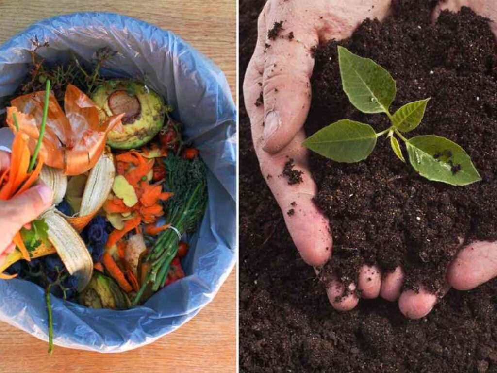 The Environmental Benefits of Using Composting Machines for Organic Waste